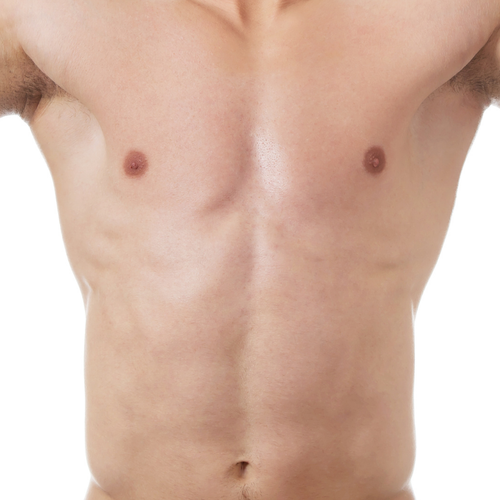 Tronco (pecho/abdomen/espalda)